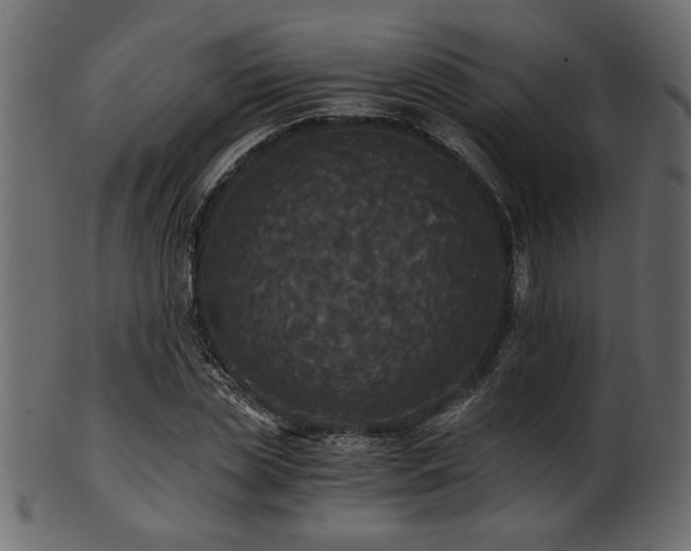 X0000101950829200807181448