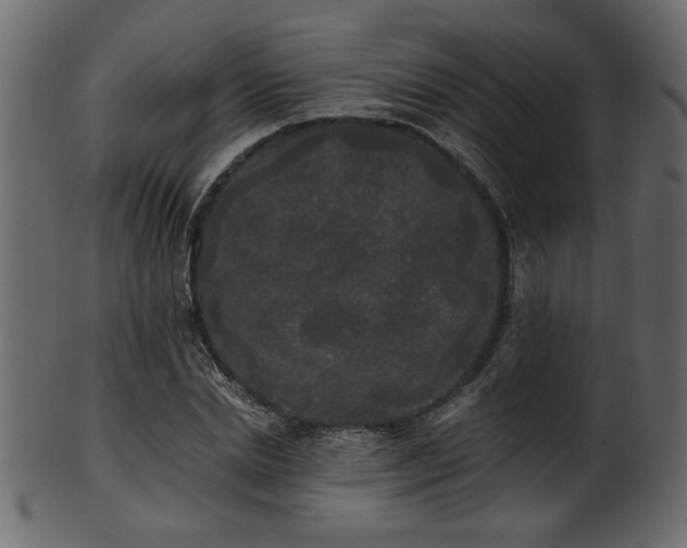 X0000101950830200807181448