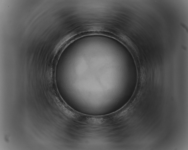 X0000101950831200807181448