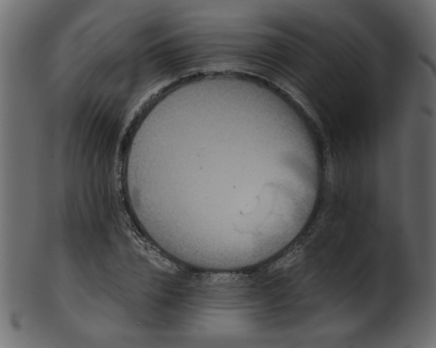 X0000101950832200807181448