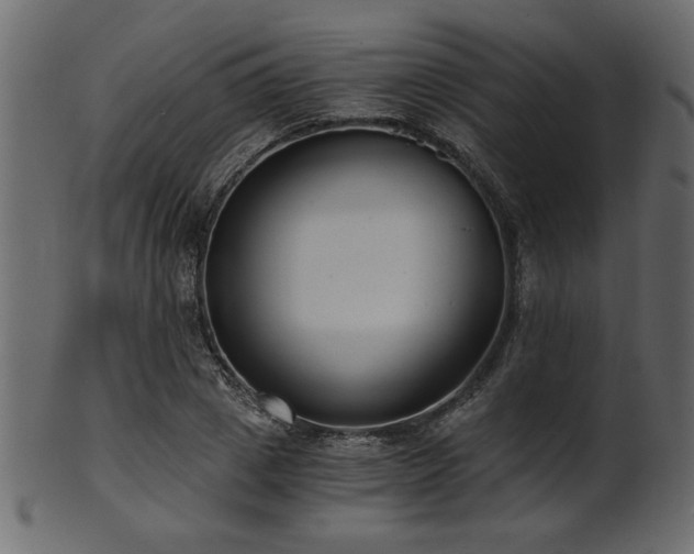 X0000101950833200807181448