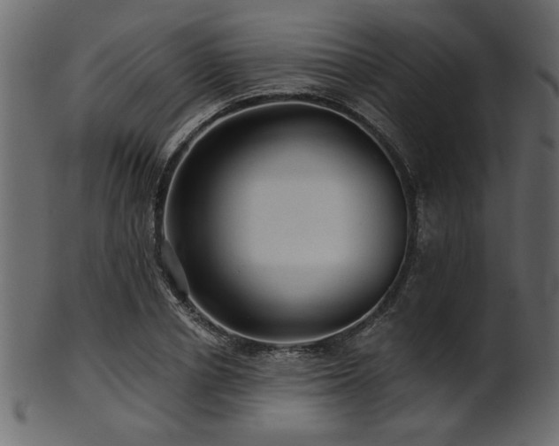 X0000101950834200807181448