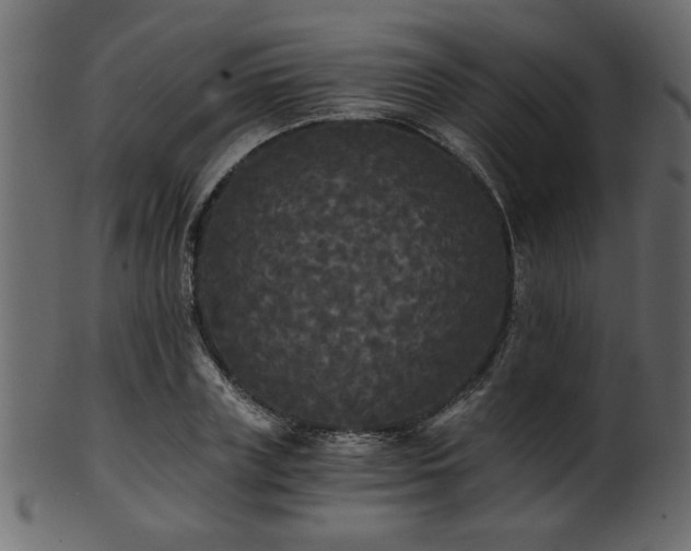 X0000101950835200807181448