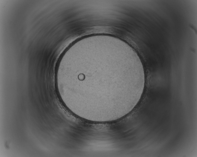 X0000101950836200807181448