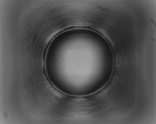 X0000101950837200807181448