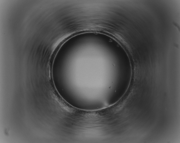 X0000101950838200807181448