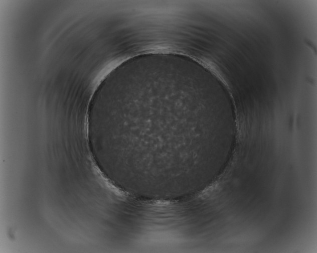 X0000101950839200807181448