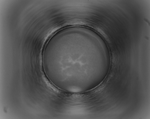 X0000101950840200807181448