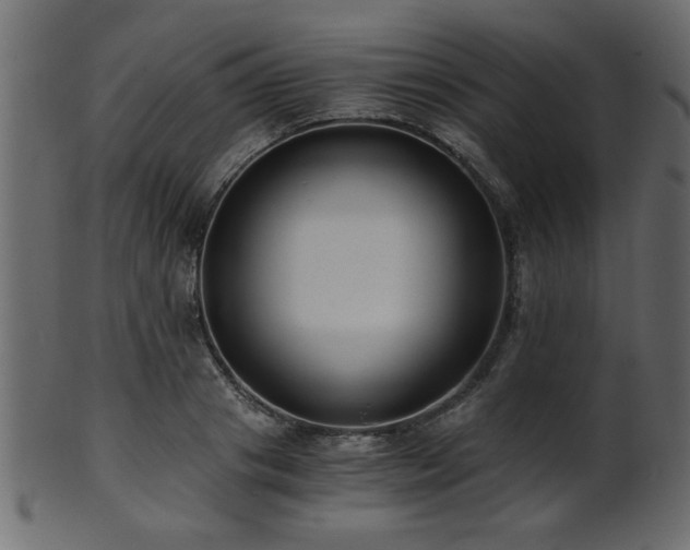 X0000101950841200807181448