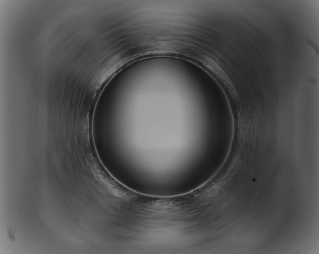 X0000101950842200807181448