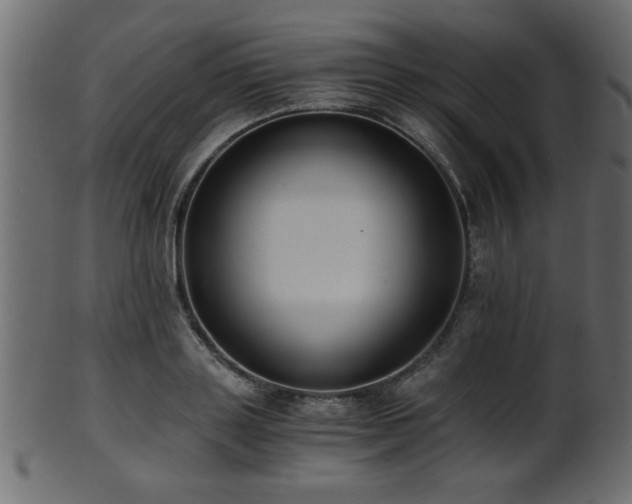 X0000101950843200807181448