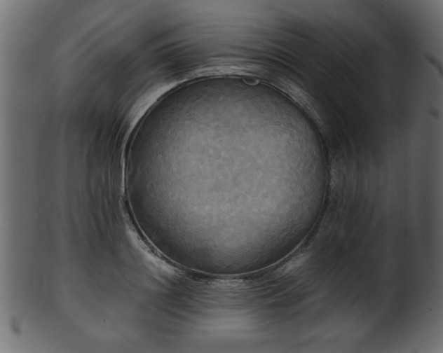 X0000101950844200807181448