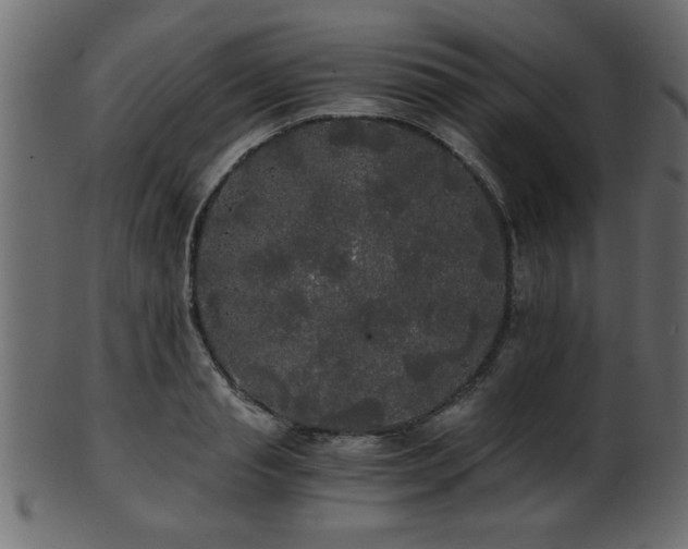 X0000101950845200807181449