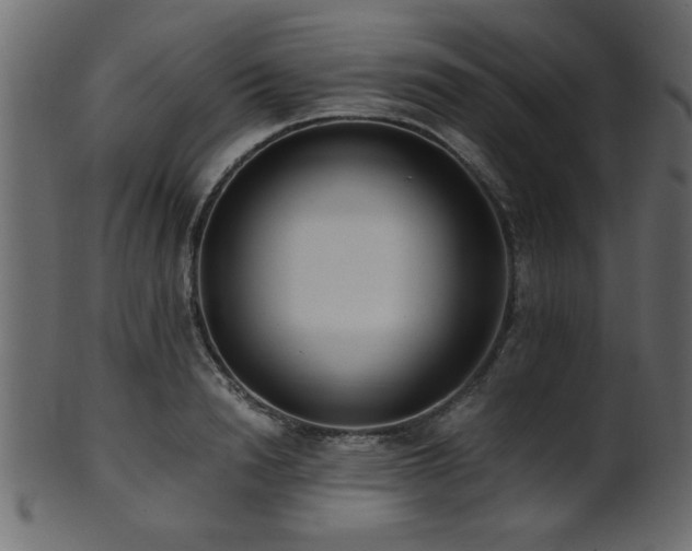 X0000101950846200807181449