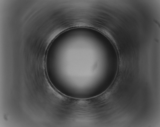 X0000101950847200807181449