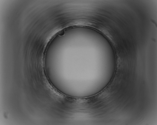 X0000101950848200807181449