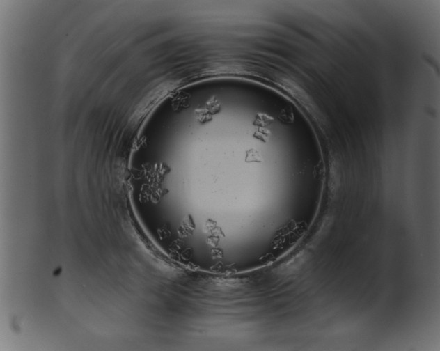 X0000101950849200807181449