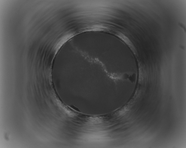 X0000101950850200807181449