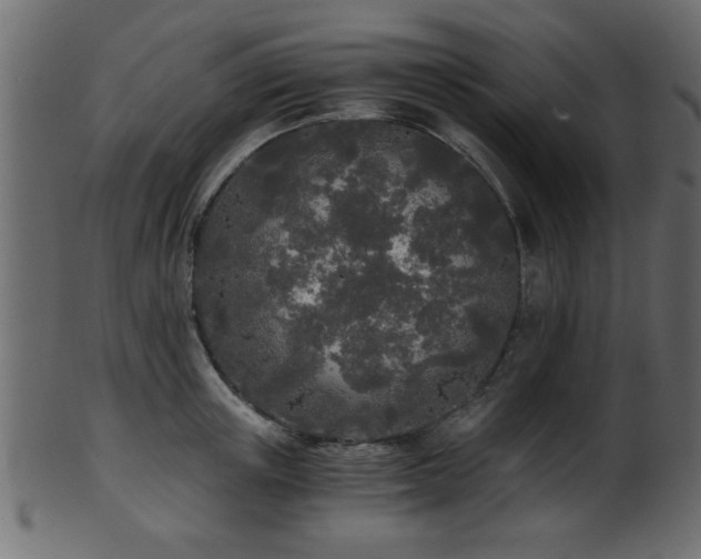 X0000101950851200807181449