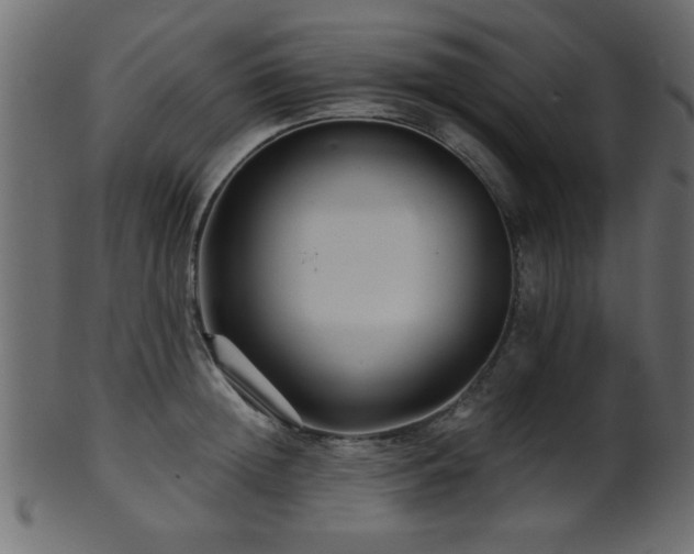 X0000101950852200807181449