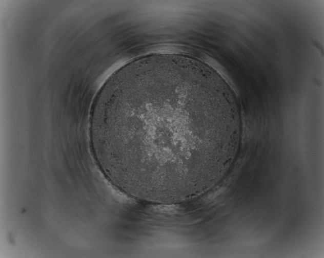 X0000101950853200807181449