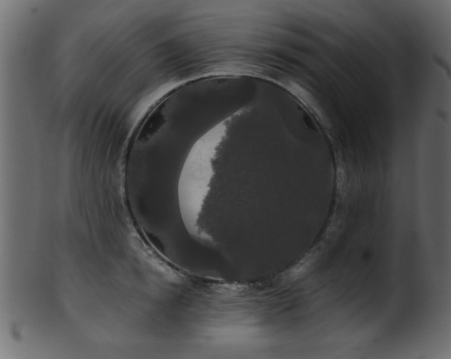 X0000101950854200807181449