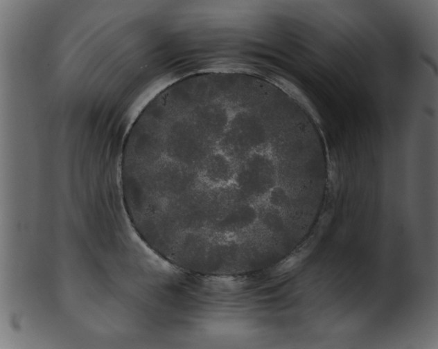 X0000101950855200807181449