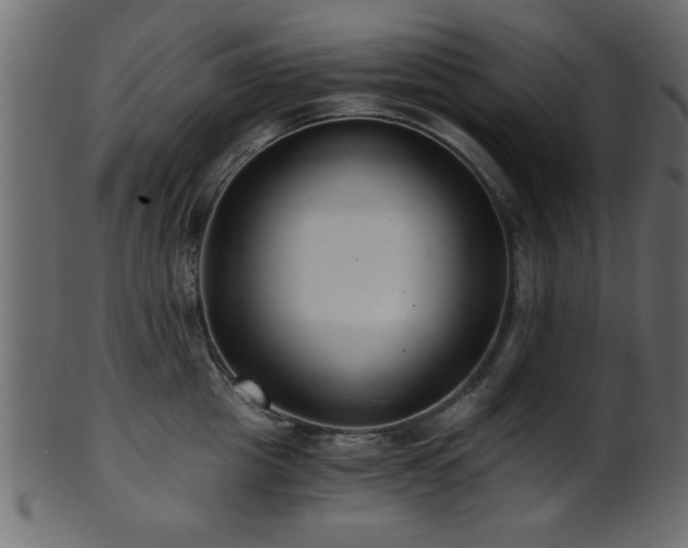 X0000101950857200807181449