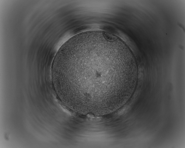 X0000101950858200807181449