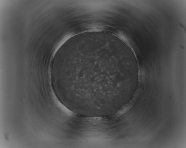 X0000101950859200807181449