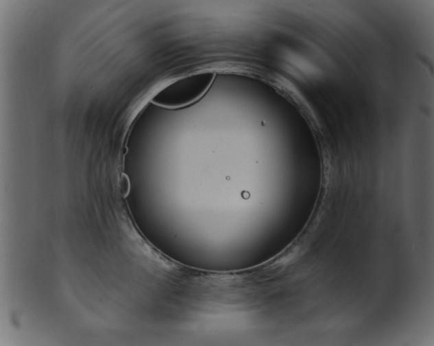 X0000101950860200807181449