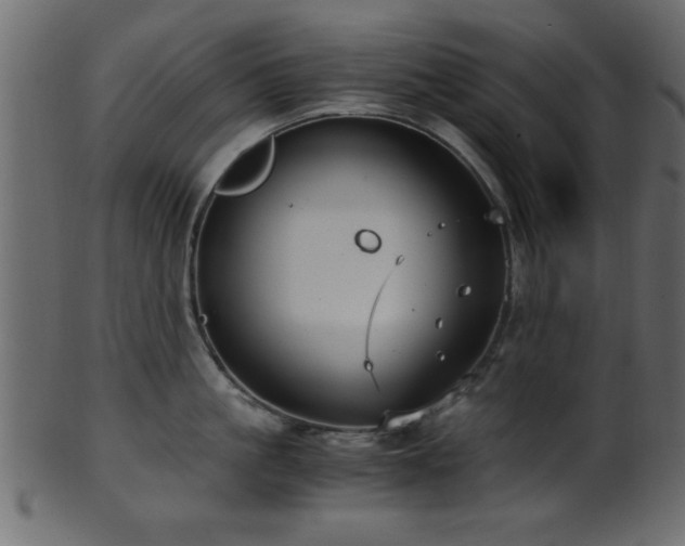 X0000101950861200807181449