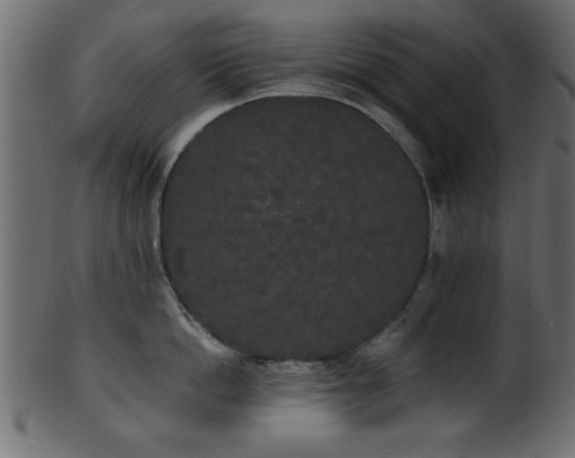 X0000101950862200807181449