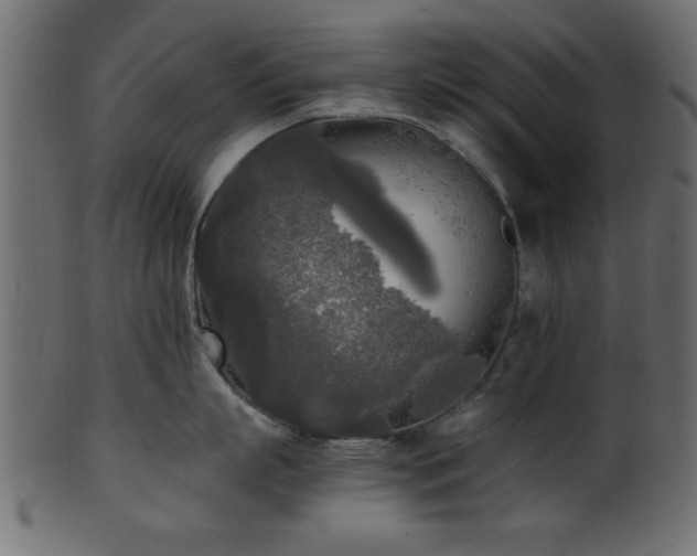 X0000101950863200807181449