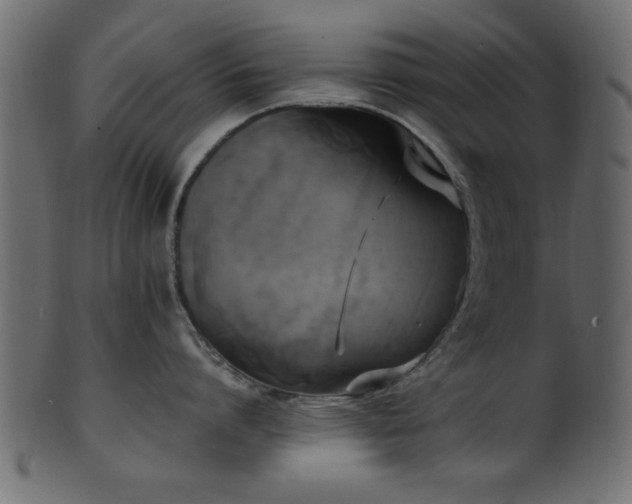 X0000101950864200807181449