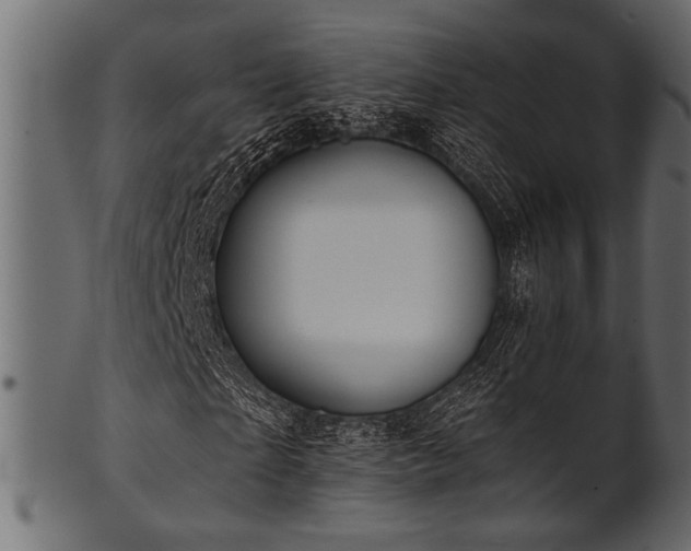 X0000101950865200807181448