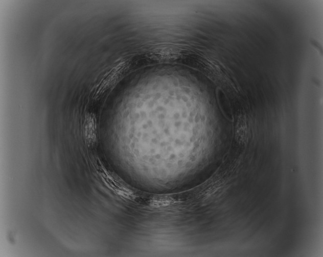 X0000101950866200807181448