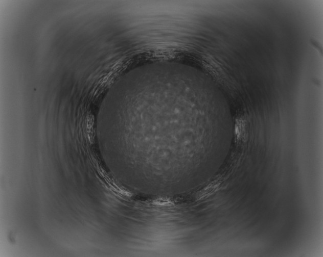 X0000101950867200807181448