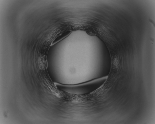 X0000101950868200807181448