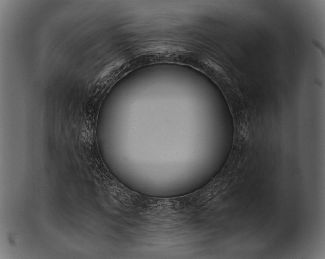 X0000101950869200807181448