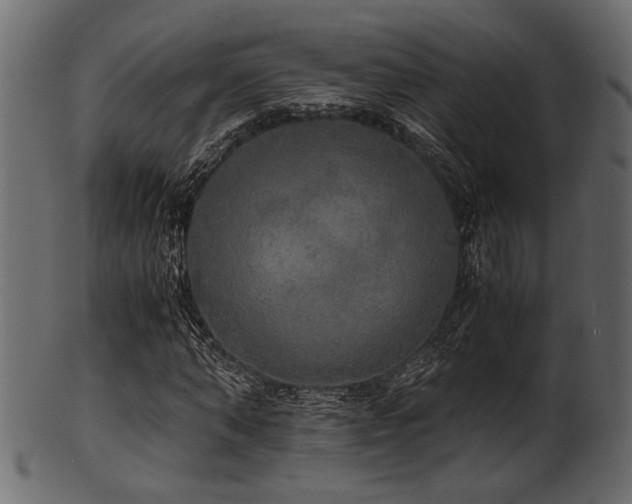 X0000101950870200807181448