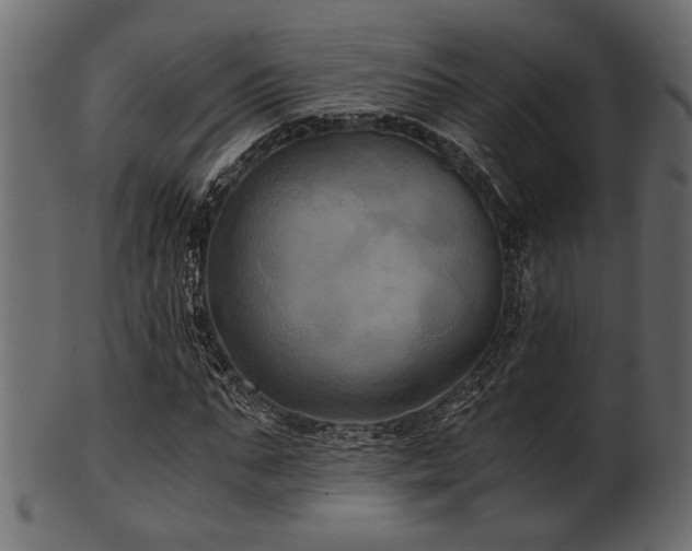 X0000101950871200807181448