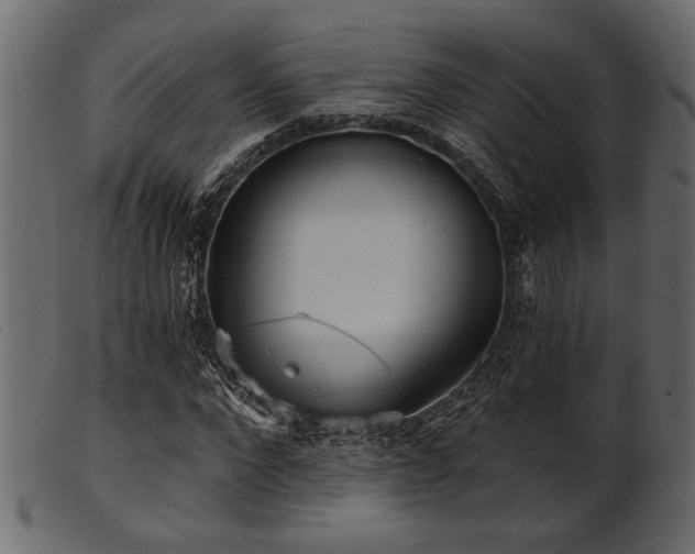 X0000101950872200807181448