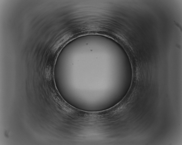 X0000101950873200807181448