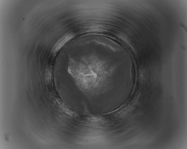 X0000101950874200807181448