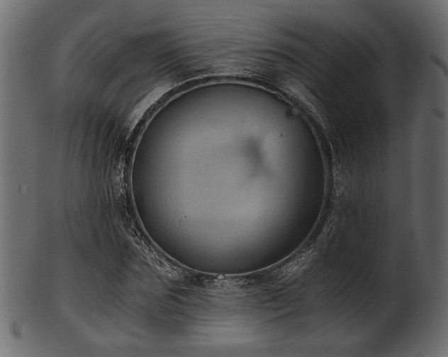 X0000101950875200807181448