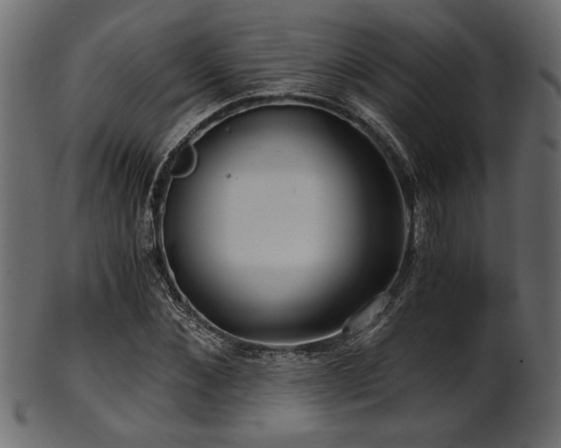 X0000101950876200807181448