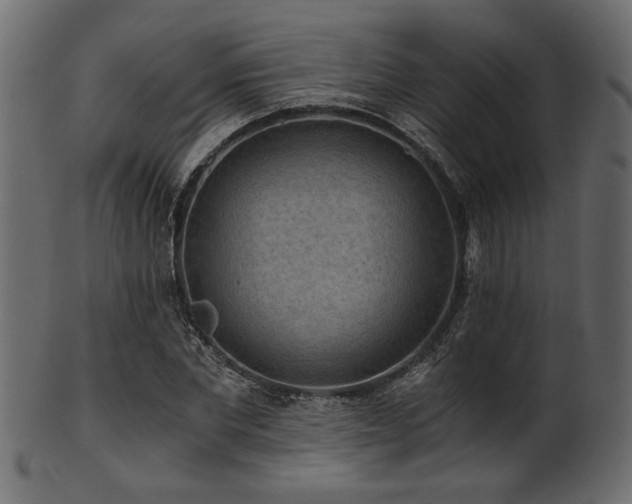 X0000101950877200807181448