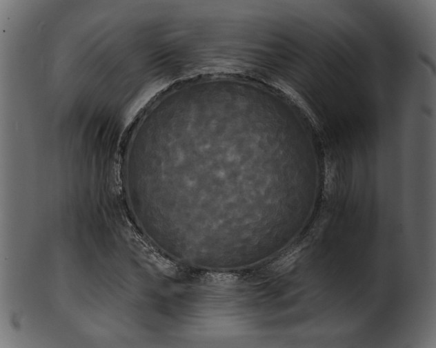 X0000101950878200807181448