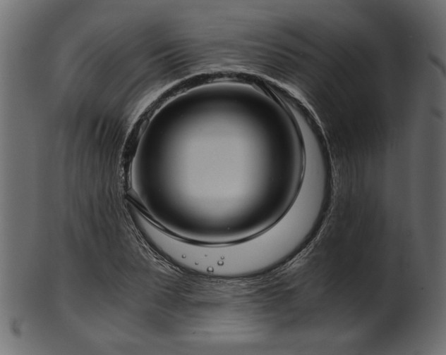 X0000101950879200807181448